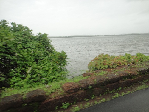 Bank of the river Mandovi